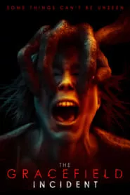 The Gracefield Incident (2017)